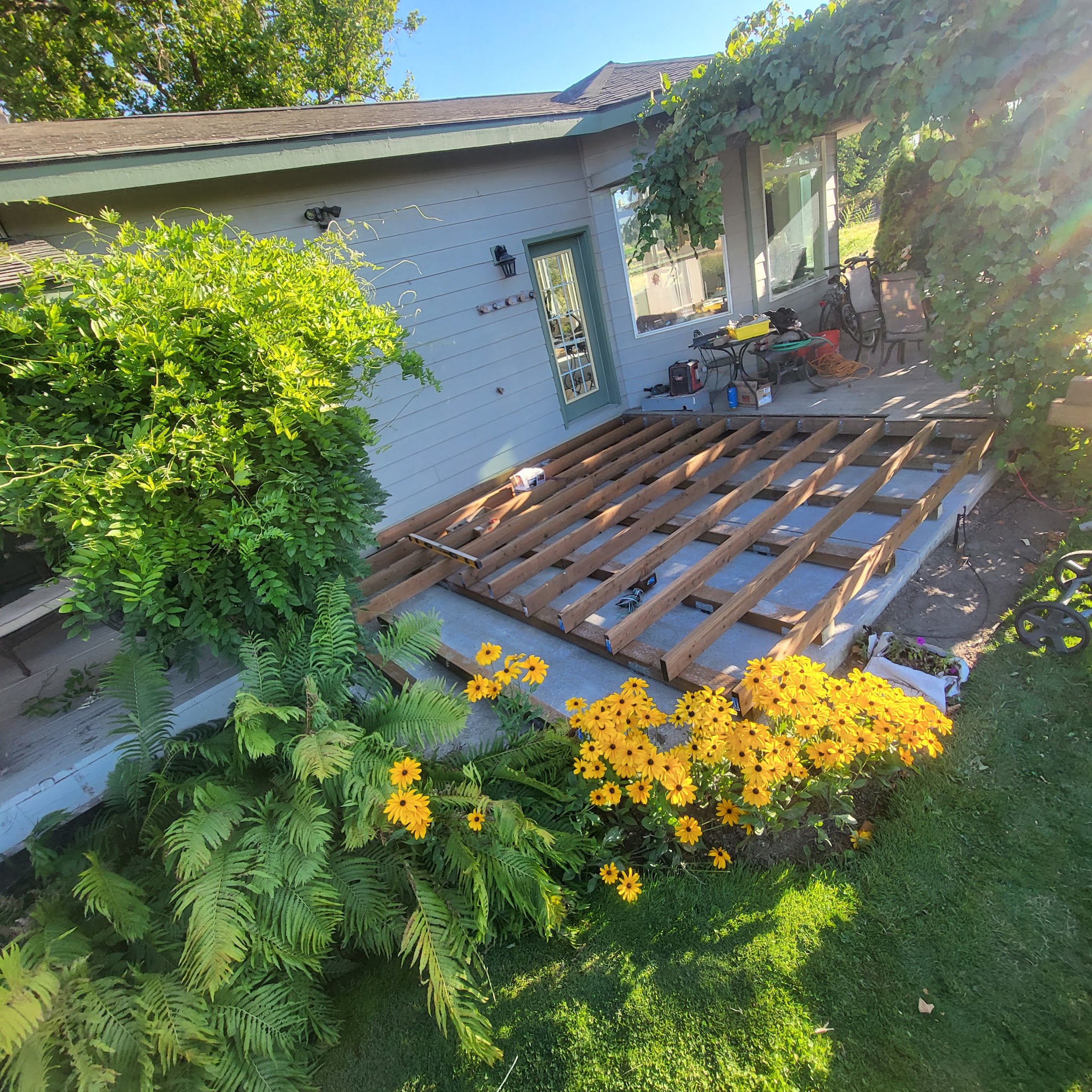 New deck framing built over a concrete patio behind a house, with ferns and flowers in the garden